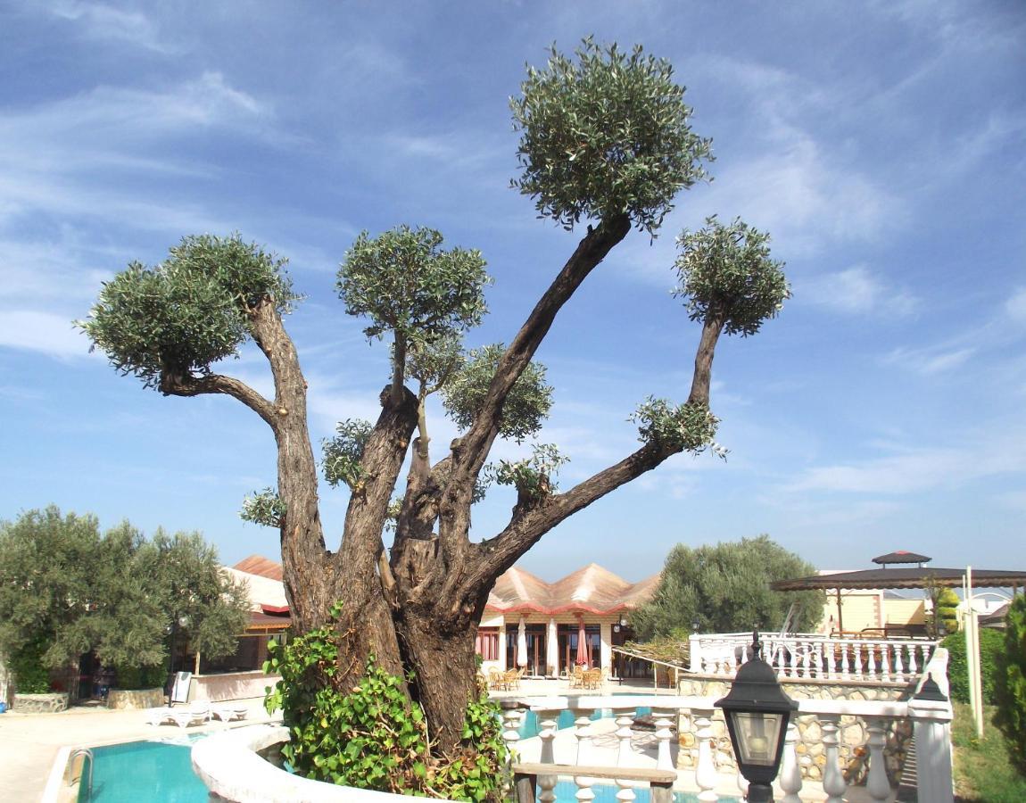 Alize Resort Hotel Yenifoca Exteriér fotografie